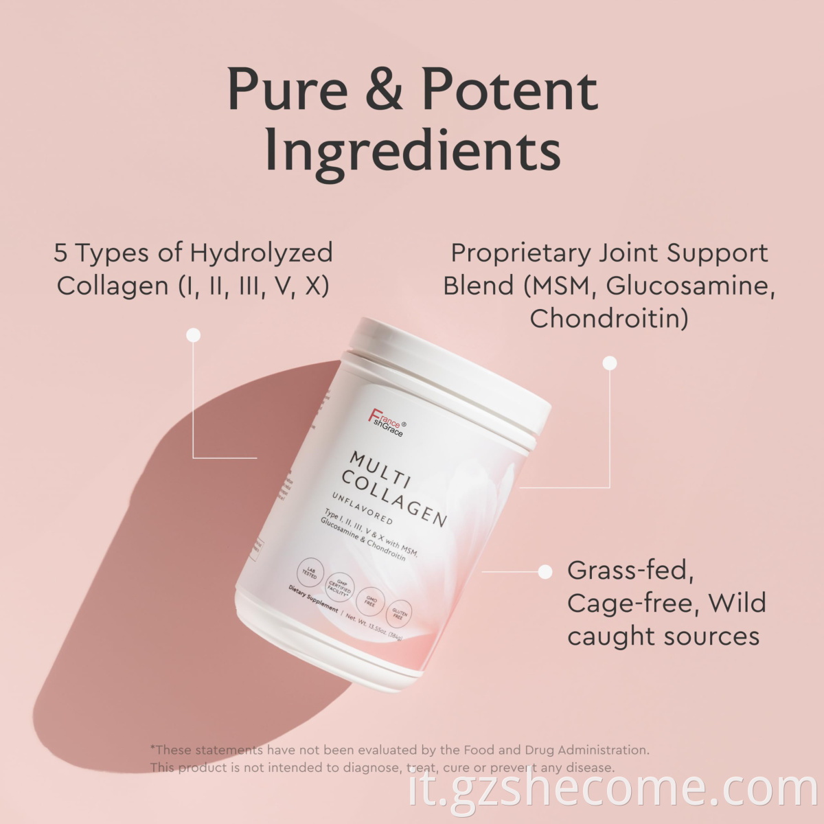orgain protein powder